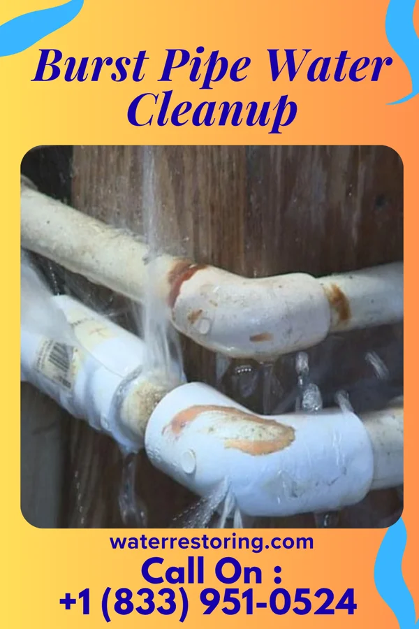 Burst Pipe Water Cleanup in Milburn, OK
