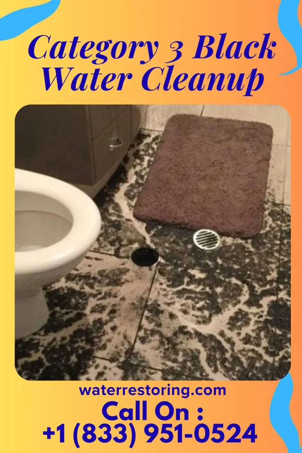 Category 3 Black Water Cleanup in Milburn, OK