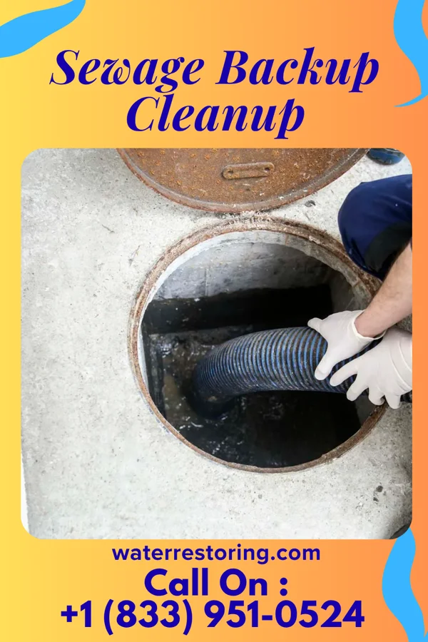 Sewage Backup Cleanup in Milburn, OK